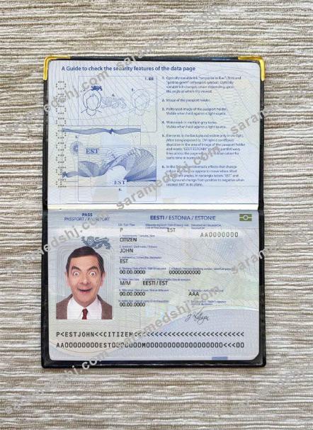 Estonia passport photo look
